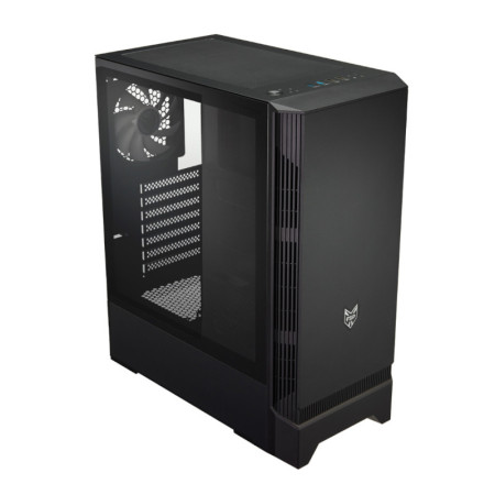FSP CMT260 ATX